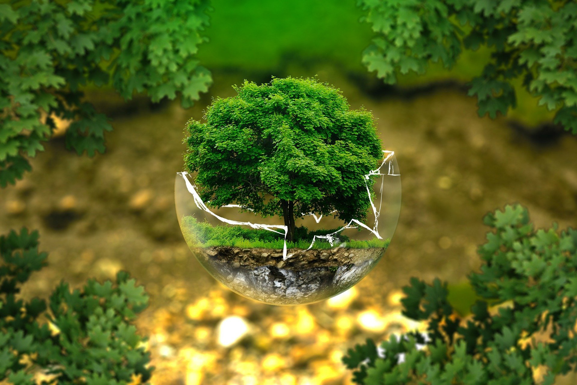 environmental-protection - Crédits : pixabay