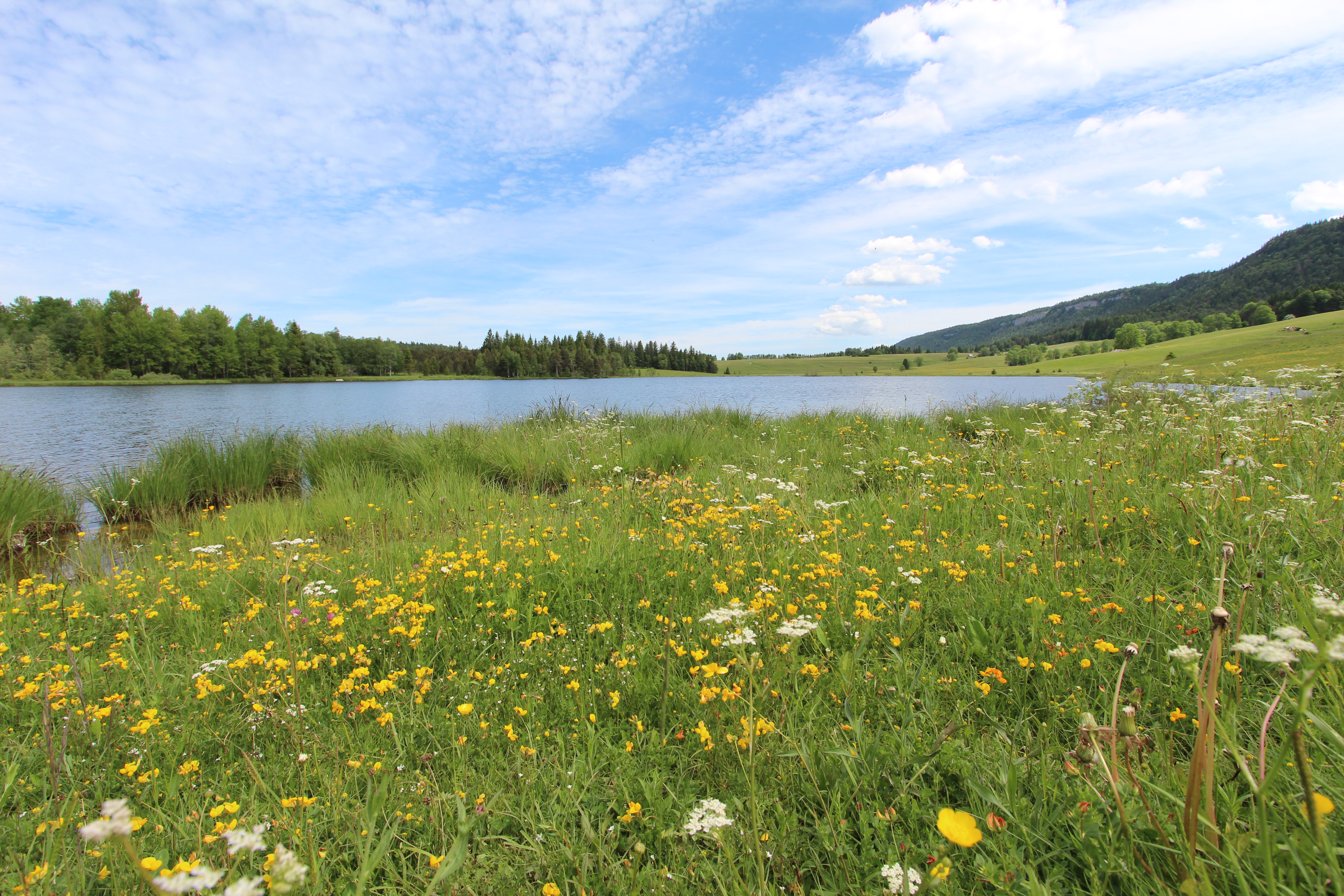 Tour des Lacs VTT - n° 94
