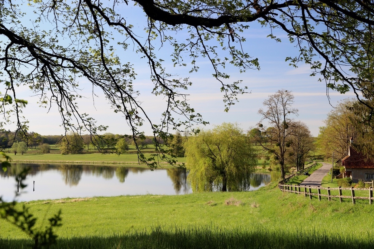 Circuit de l'étang de Chèvres