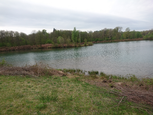 Etangs de Passavant