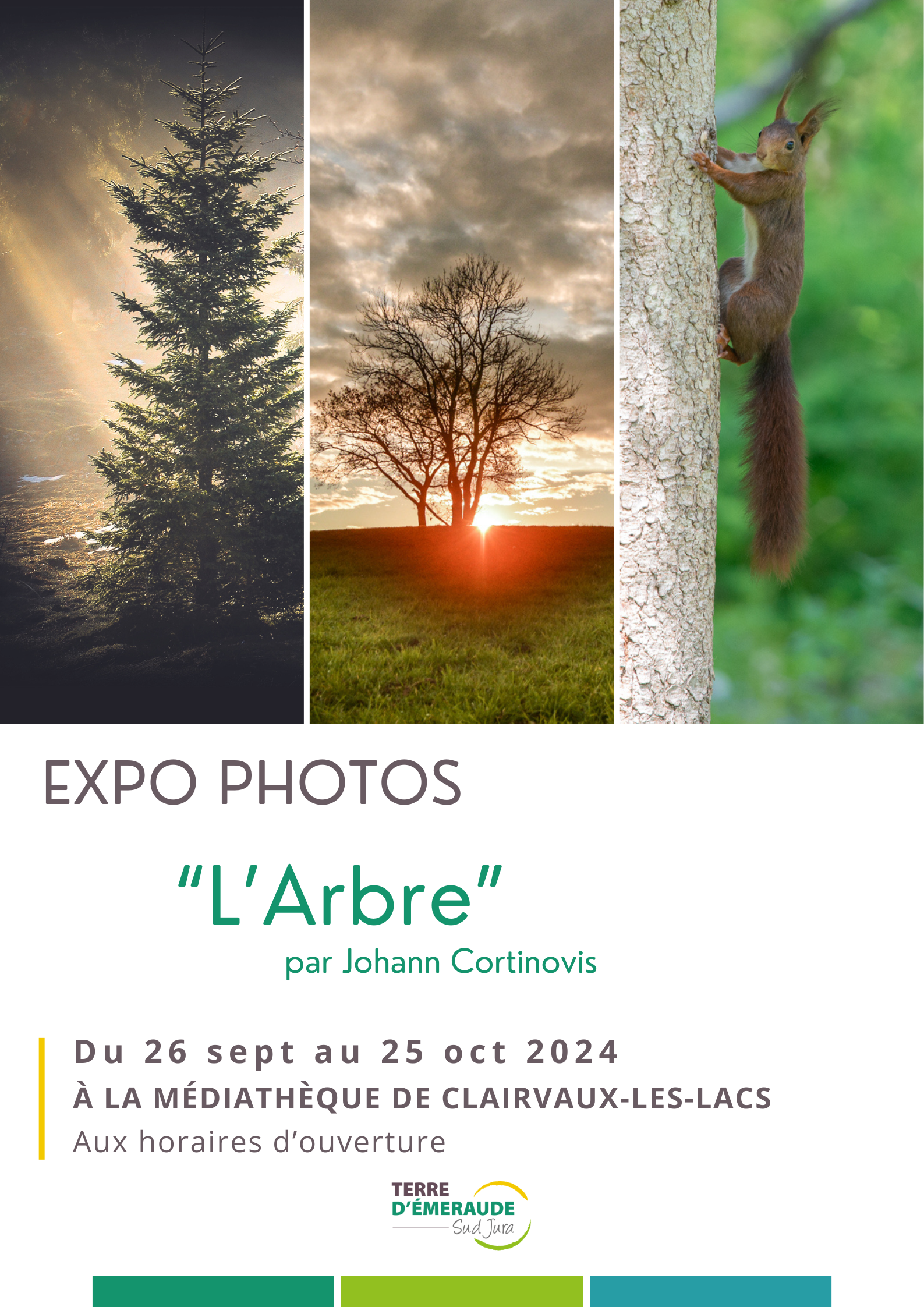 Expo Arbre - Affiche