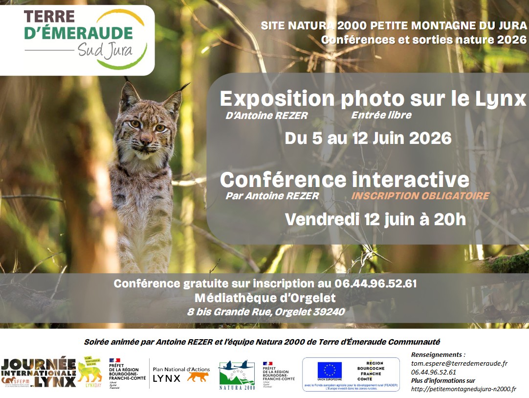 Exposition photos sur le lynx