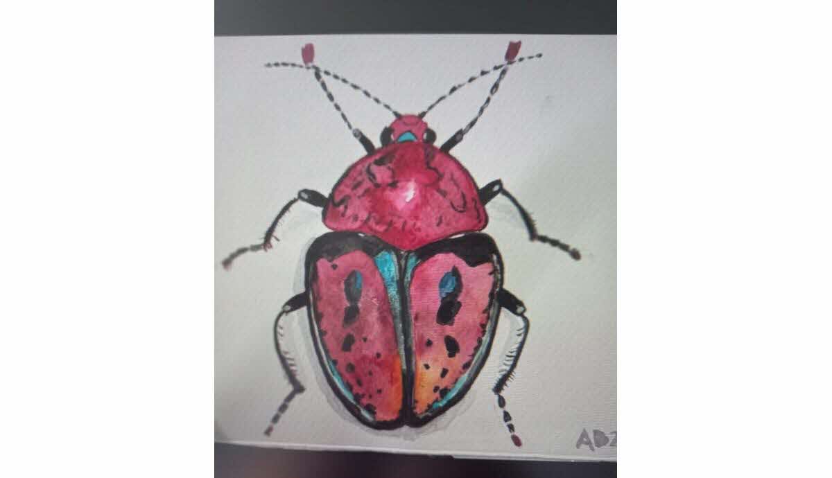 exposition-de-dessins-a-la-halle-aux-grains-1750349409