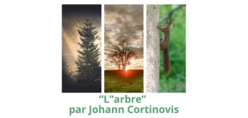 exposition l'arbre