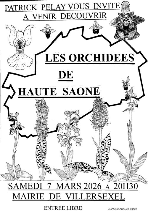 Projection de photos "Les orchid&eacute;es de Haute-Sa&ocirc;ne"