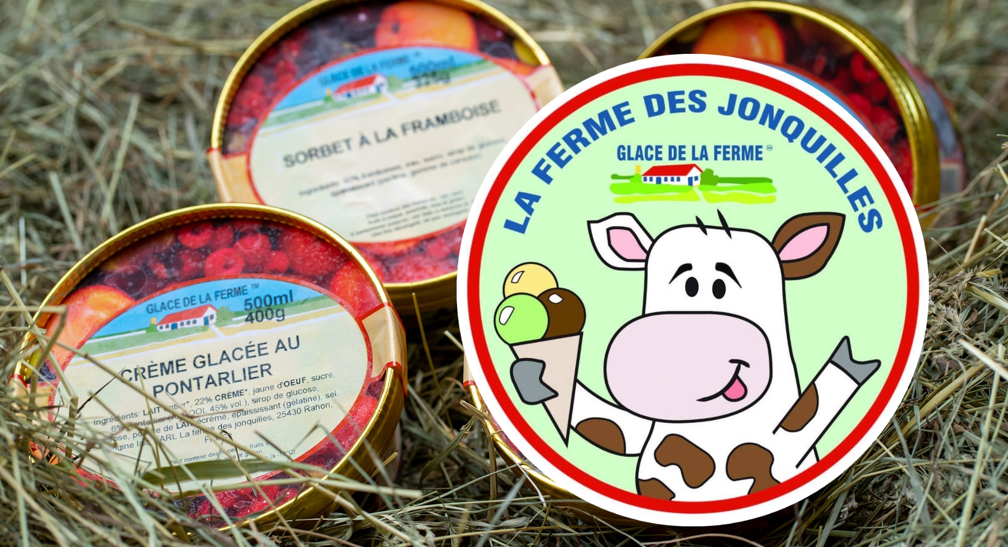 Visite d'une production de glaces à la ferme et dégustation