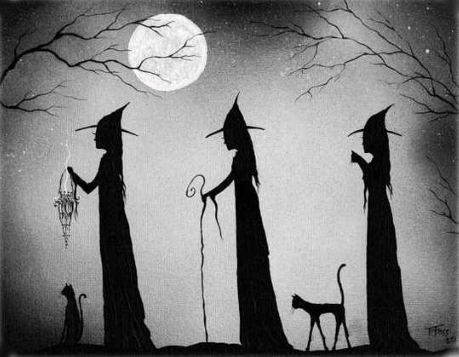 festival des sorcières