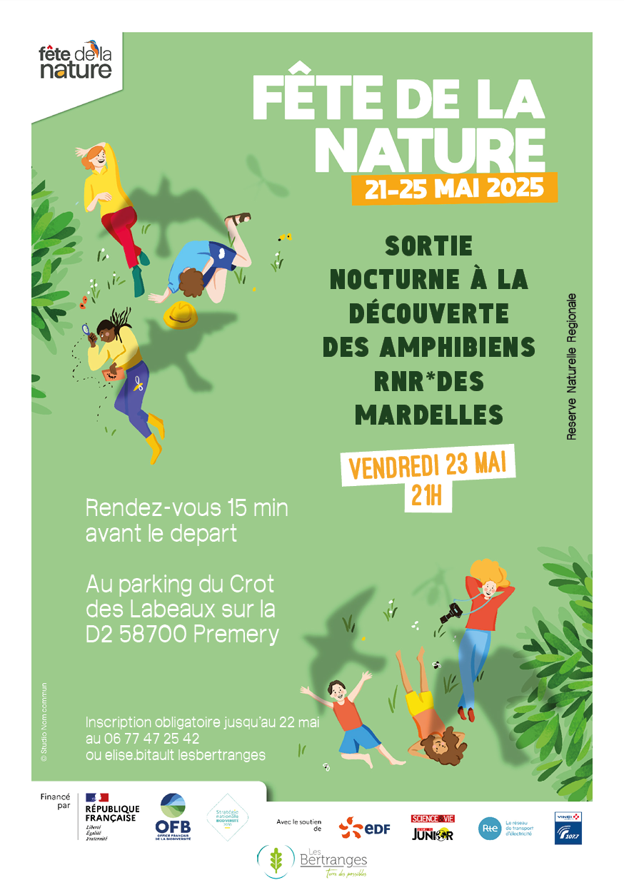 SOIRÉE NOCTURNE – AMPHIBIENS