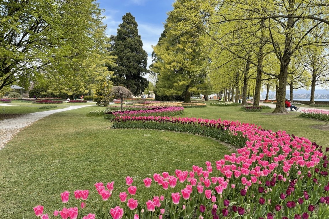 fete-tulipe-2021-0316