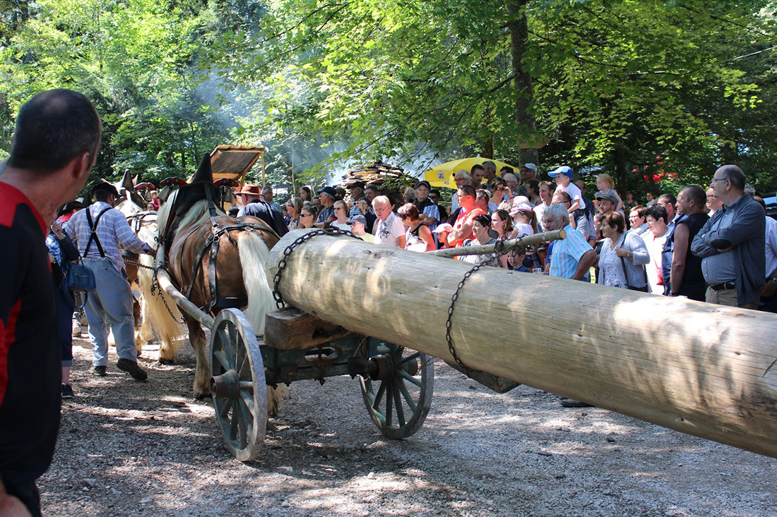 Fête de la Forêt