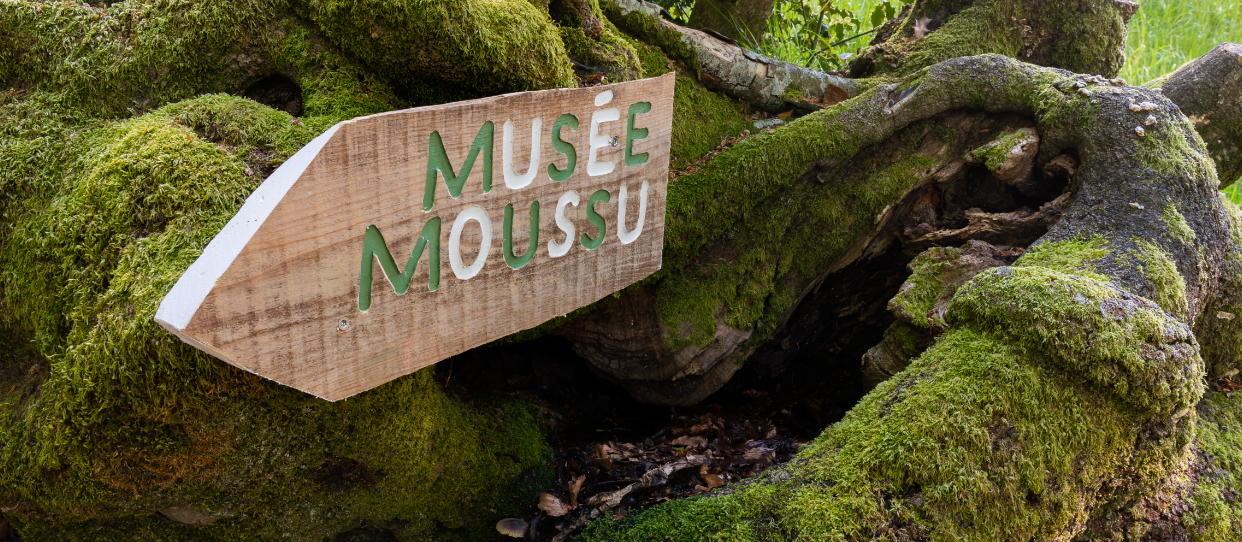fleche musée moussu