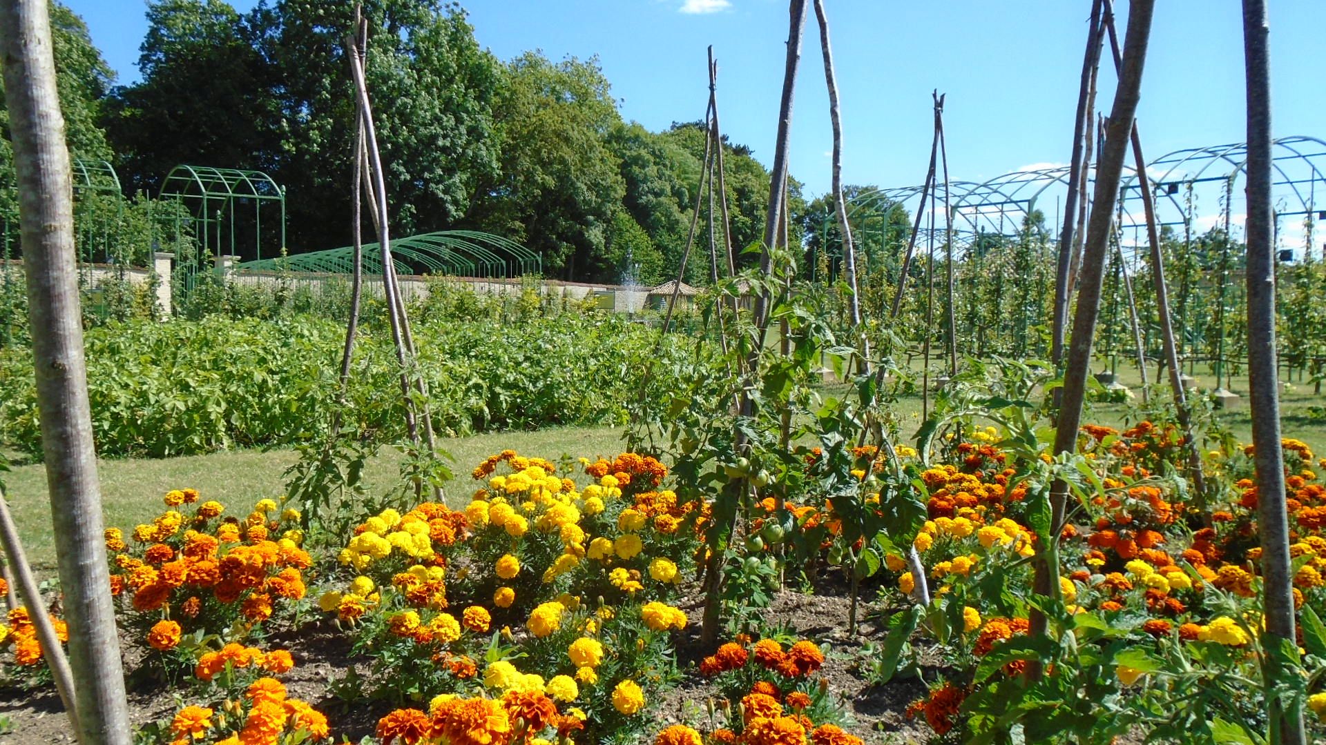 fleurs et vergers