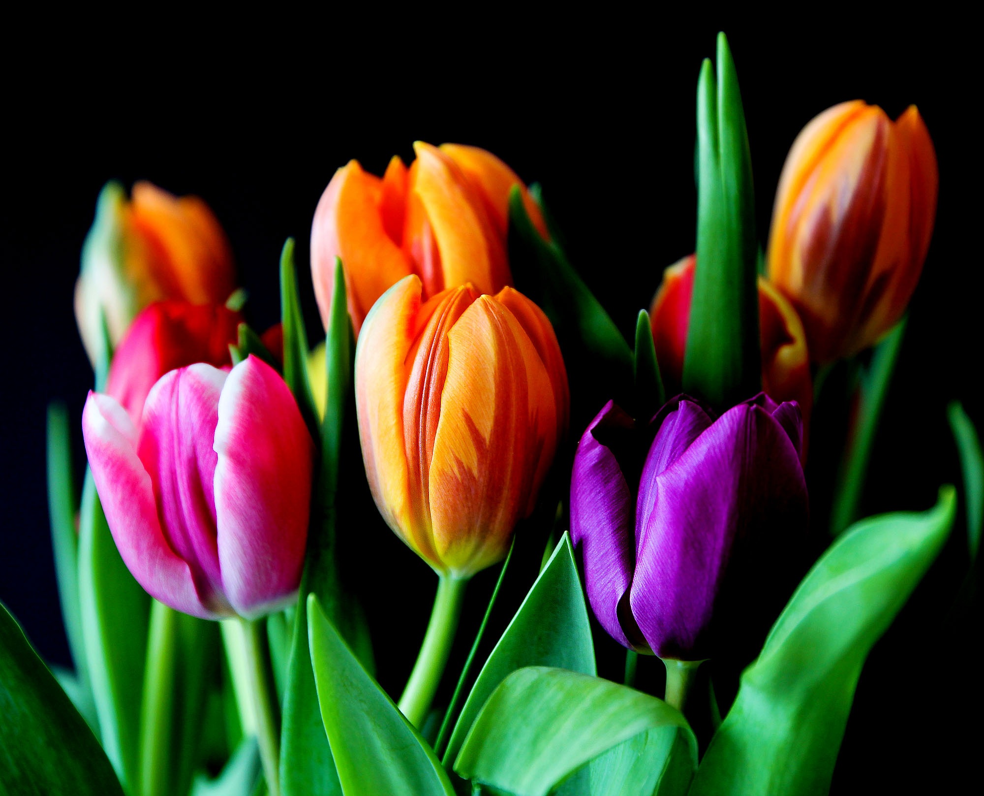 Centre Culturel Simone Veil : Atelier Art Floral