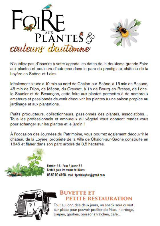flyer B