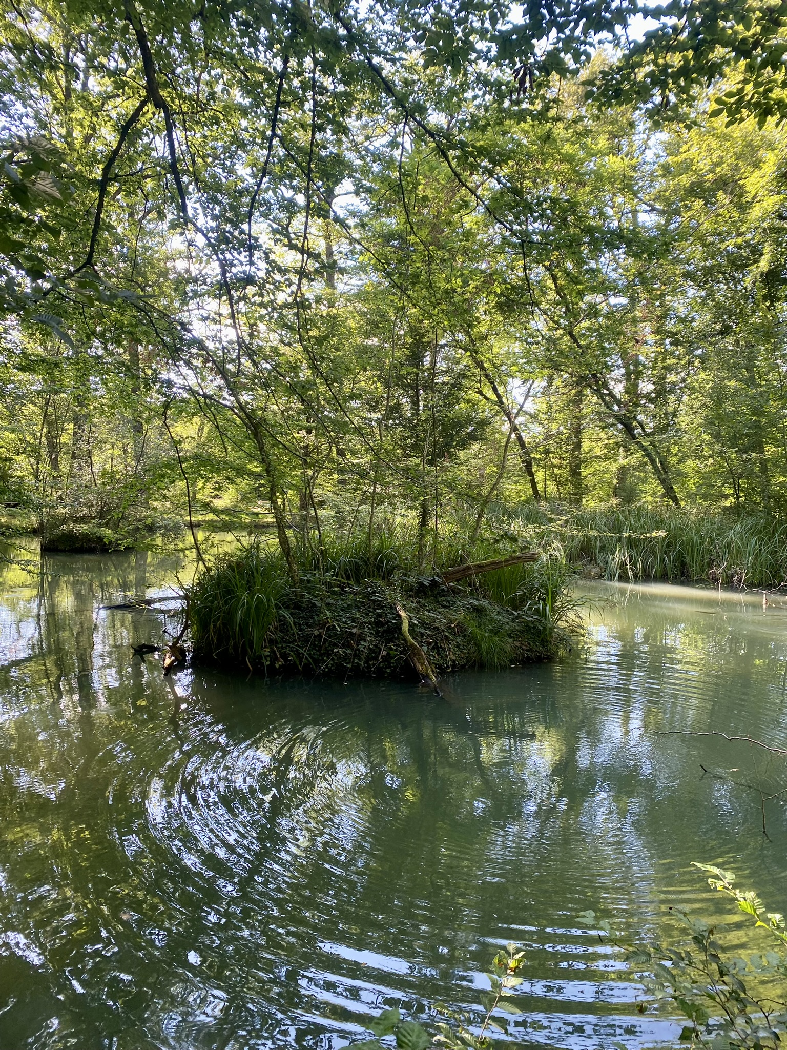 Fontaine en Bertranges