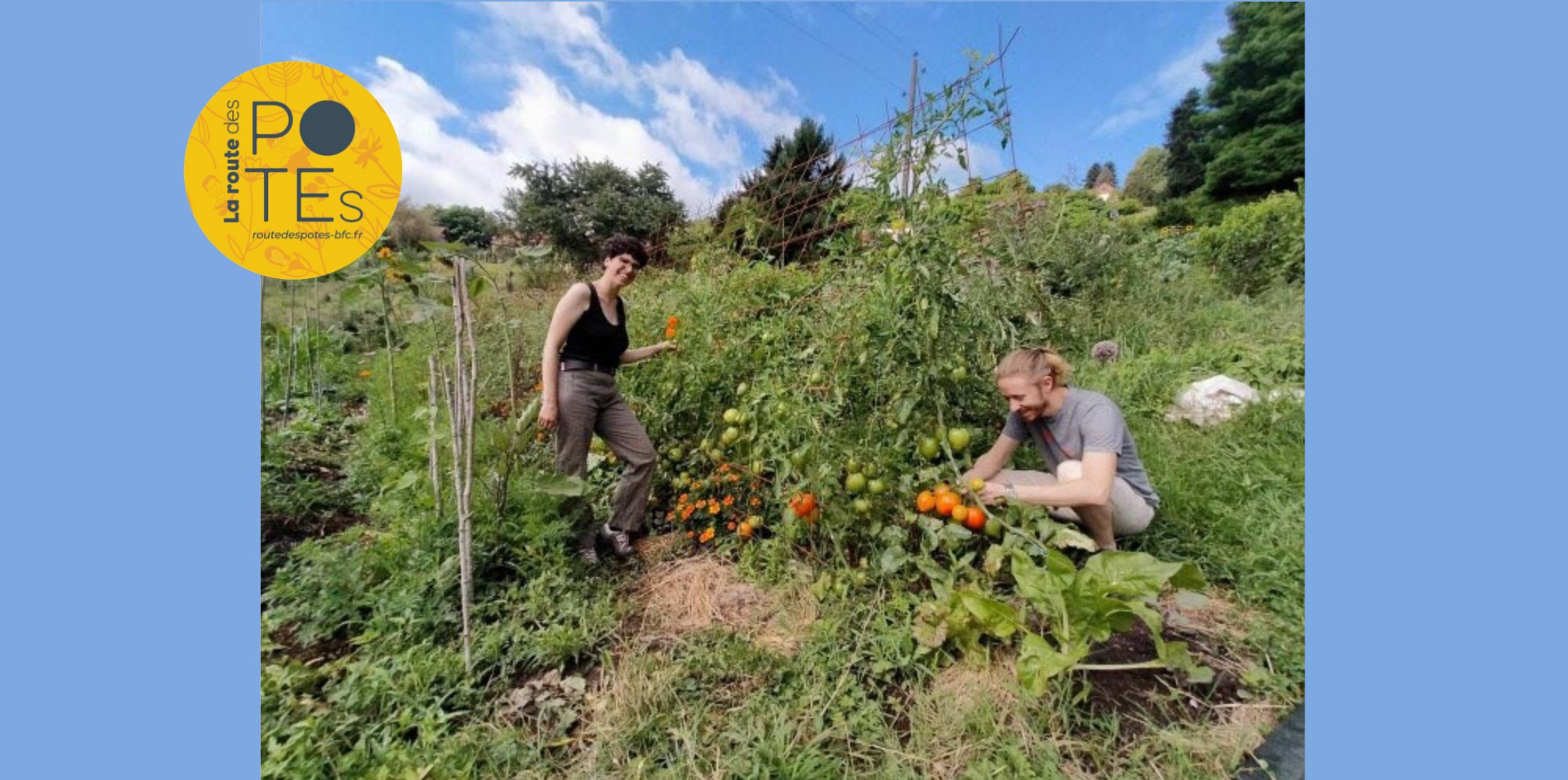 Travail au jardin