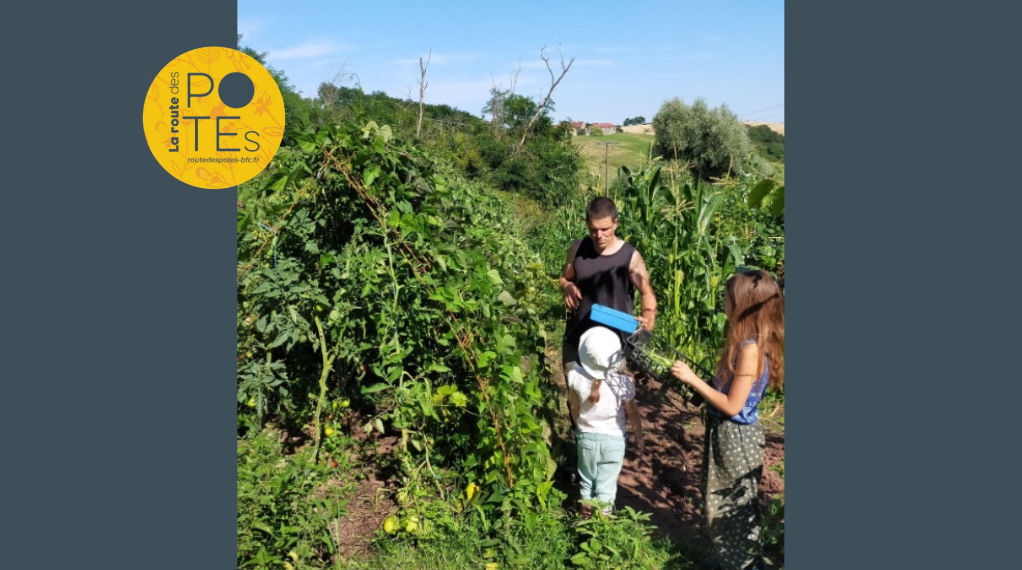 Récolte du jardin