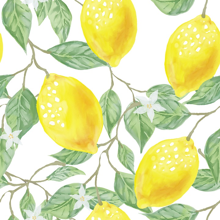 Fruit