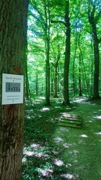 Sentier de loisir et découverte "Gaby"