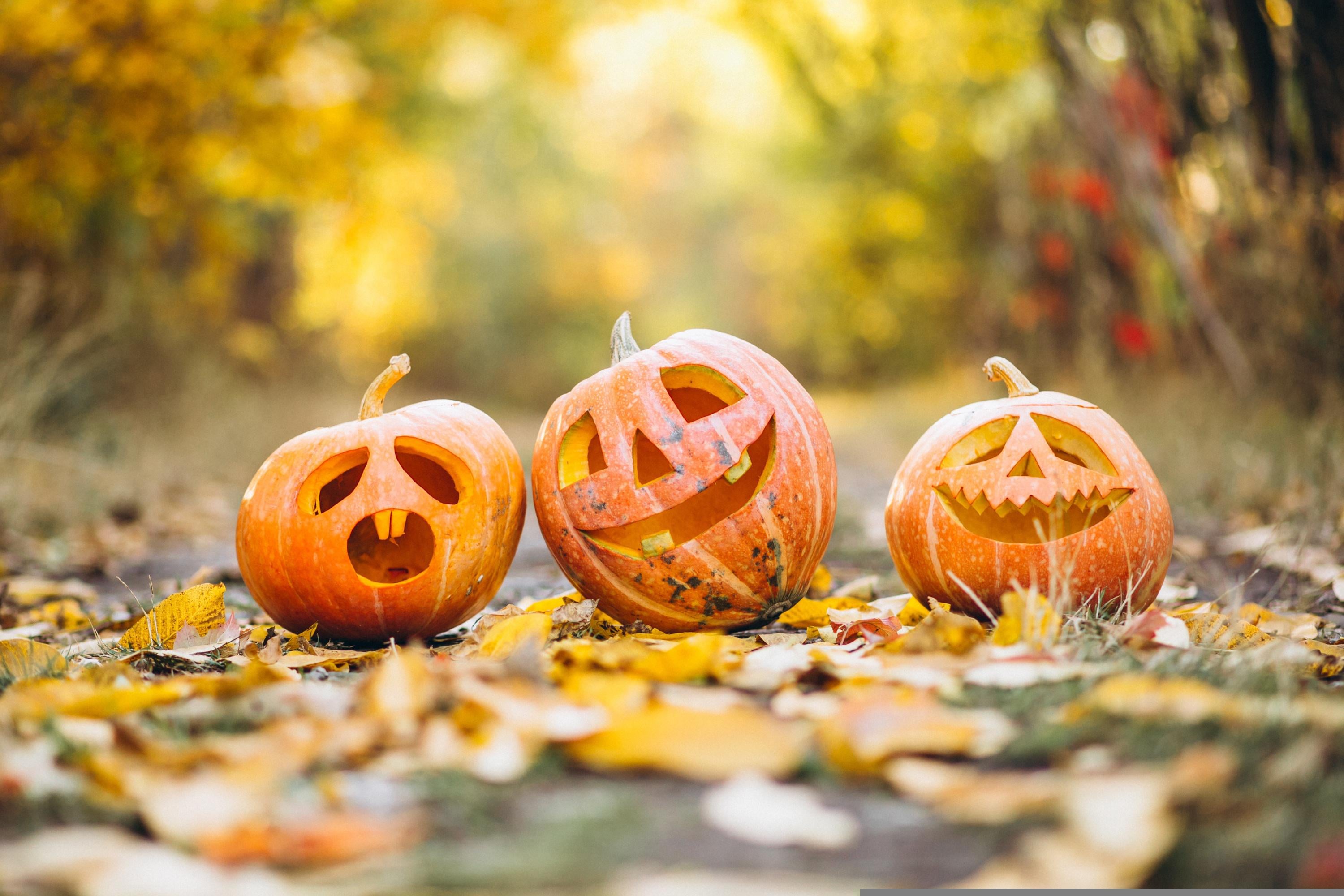 2 soirées Halloween