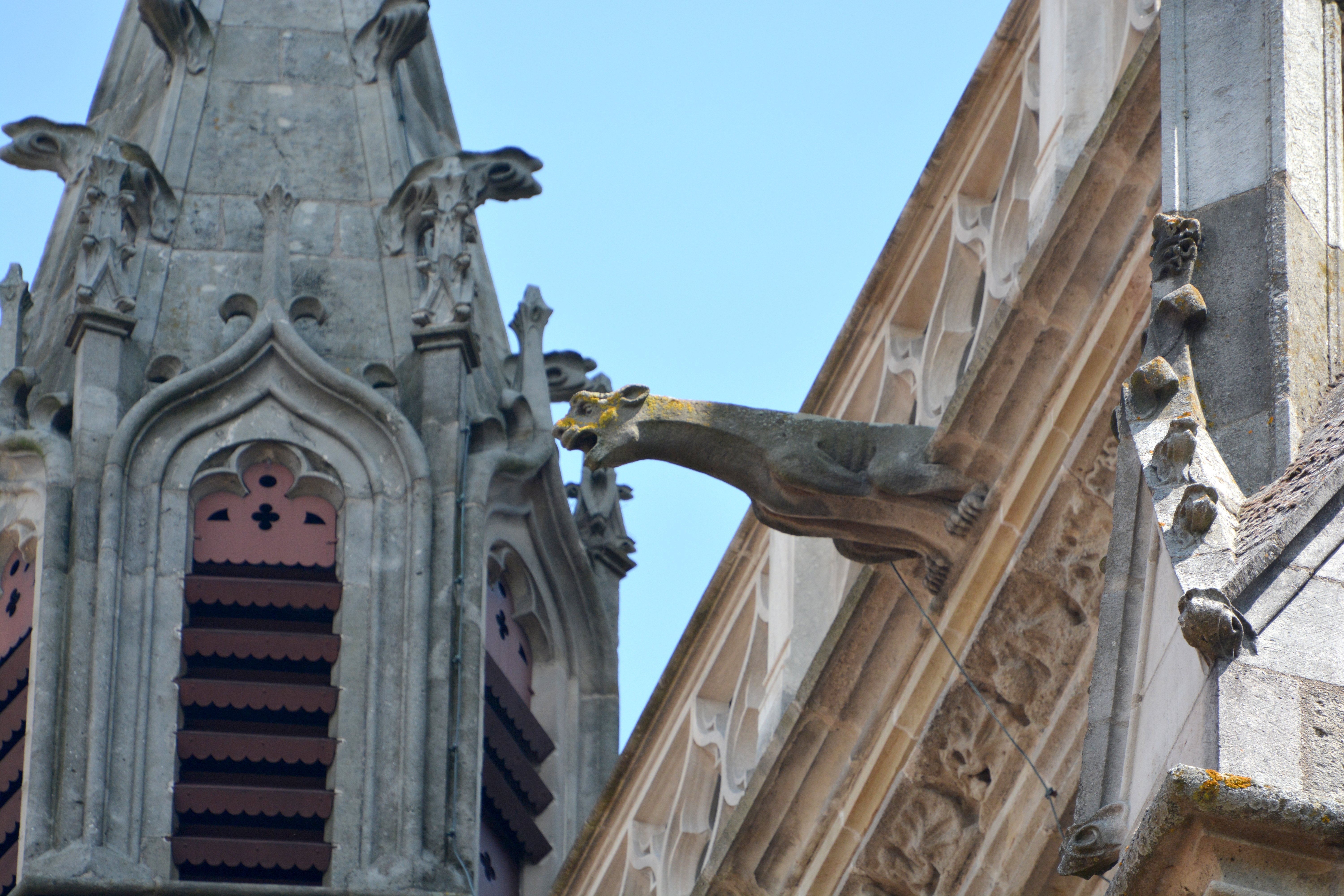 visite d'été, les animaux fantastiques de la cathédrale, autun morvan tourisme