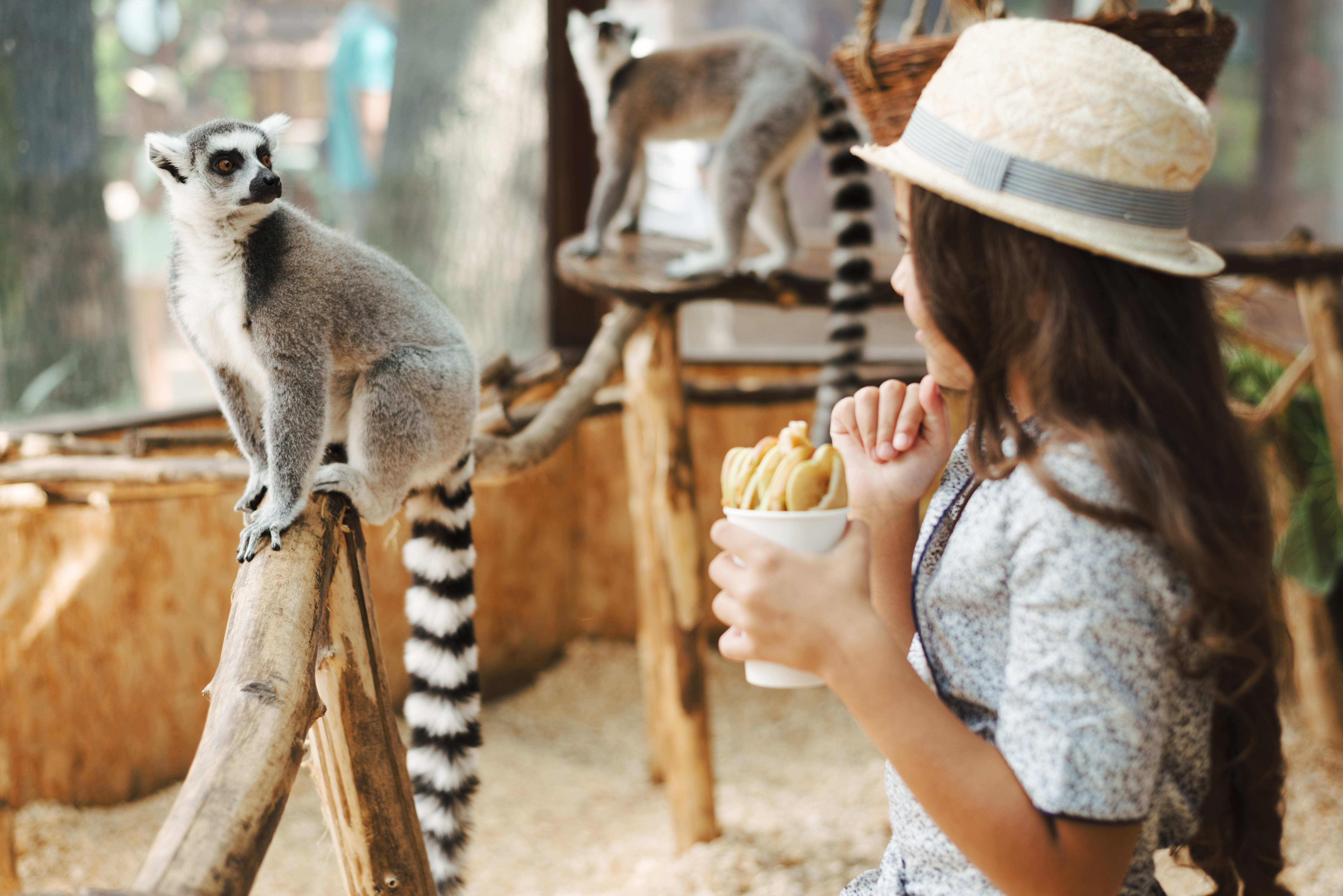 Inscription sortie ParcZoo de Beauval