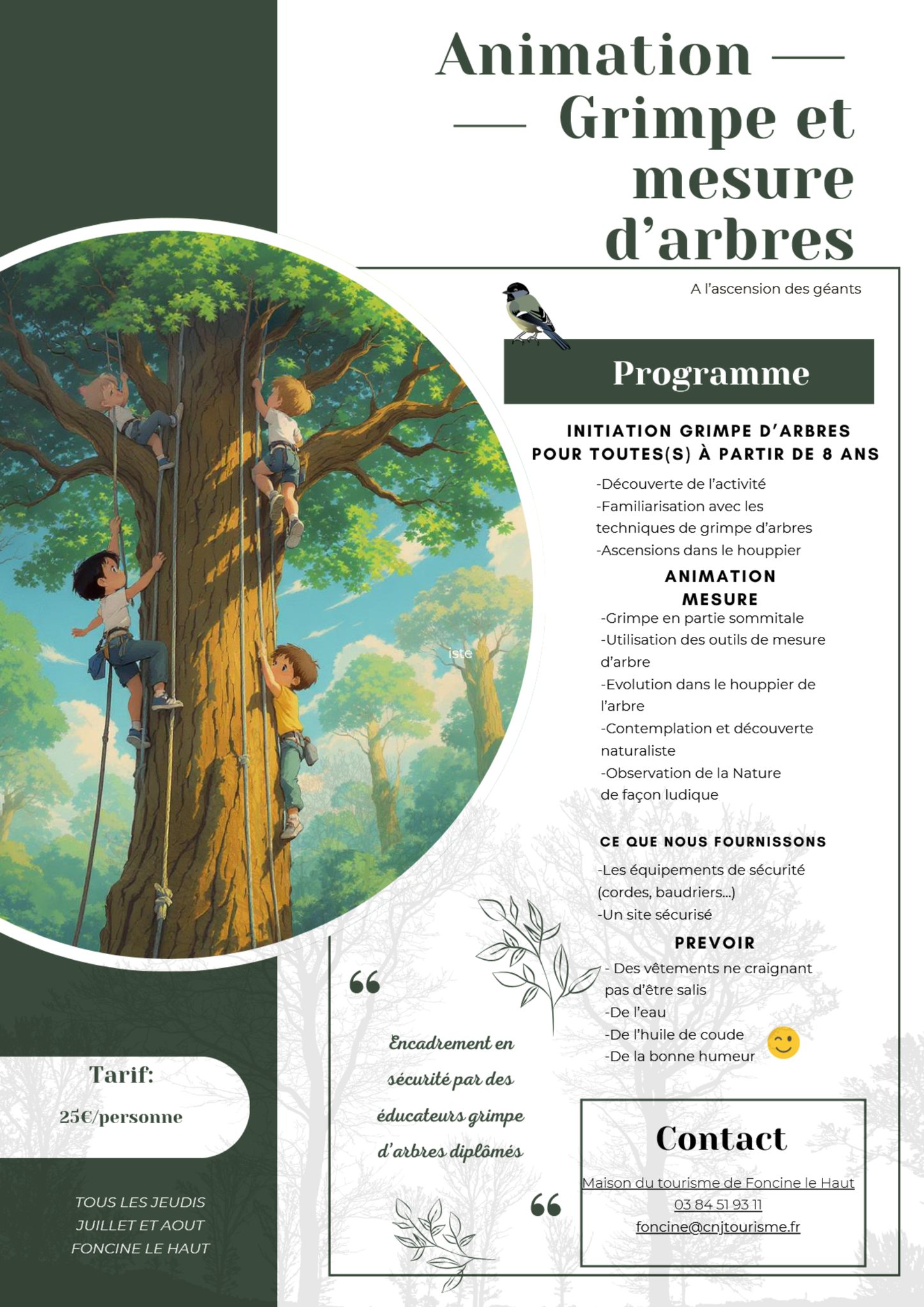 Grimpe et mesure d'arbres