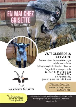Visites guidées à la chèvrerie "La Chèvre Grisette".
