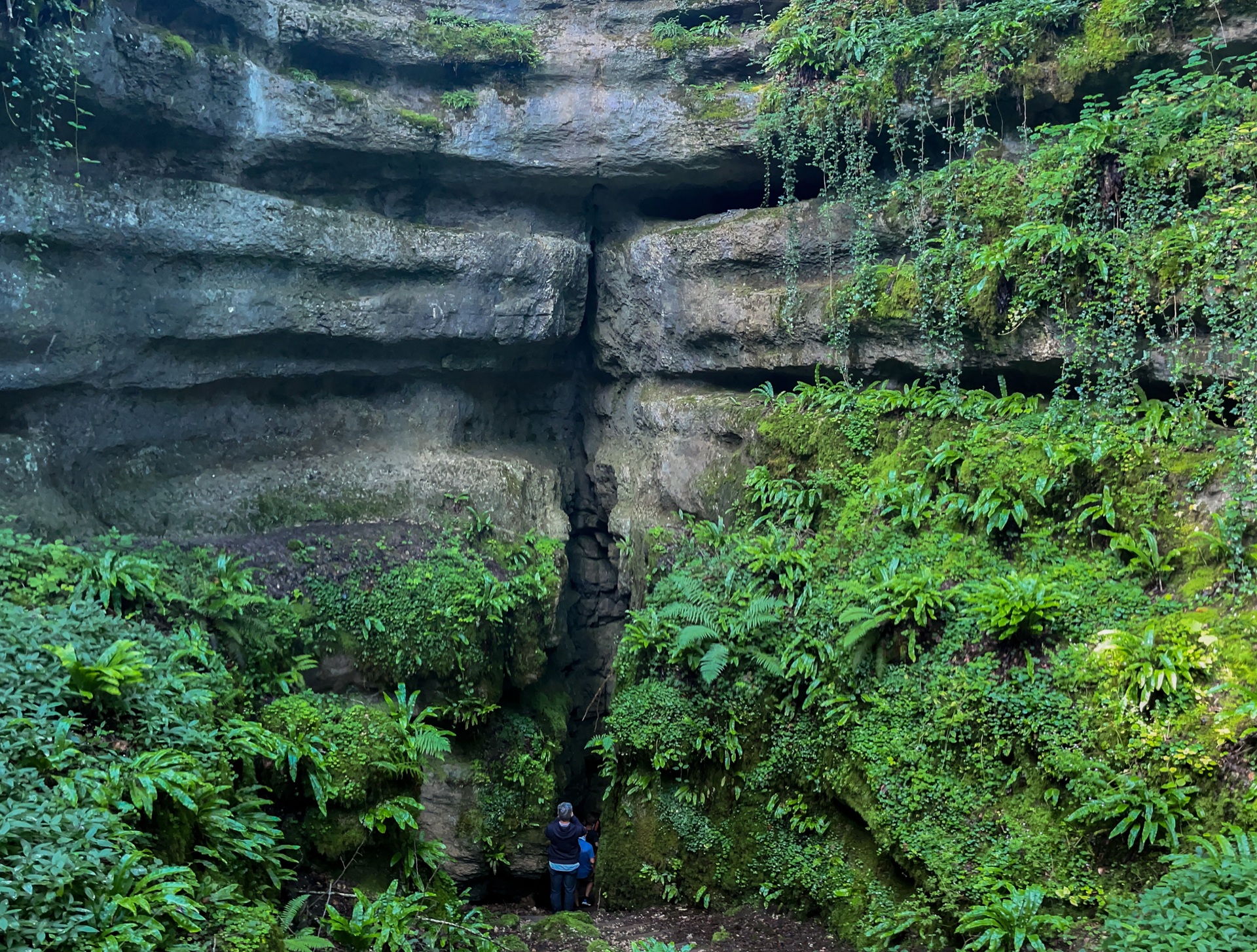 Sentier Karstique du Grand Bois