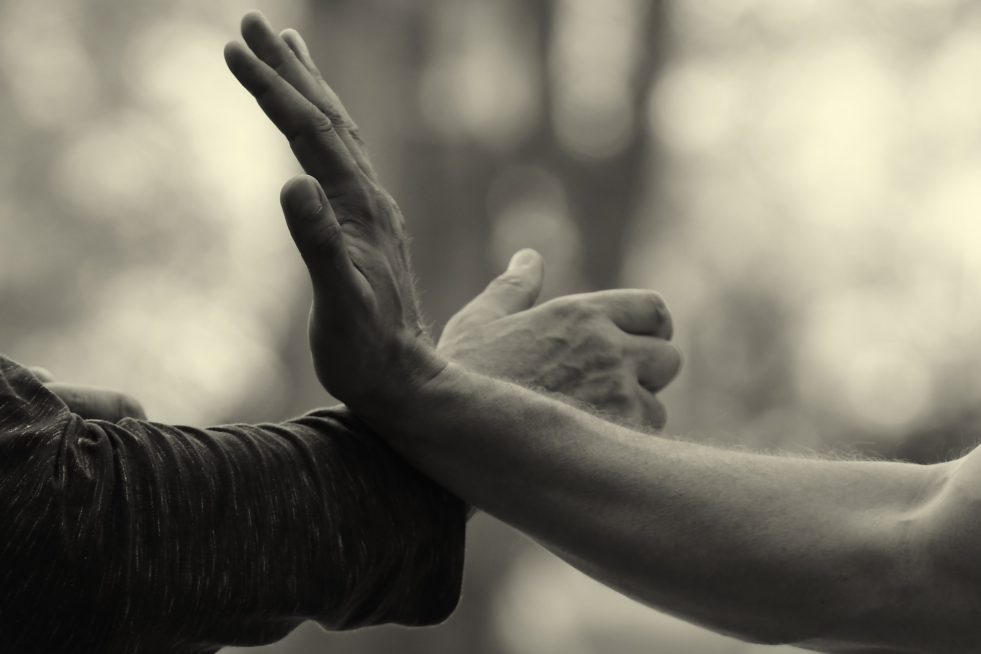 hands-g4510d2153_1920