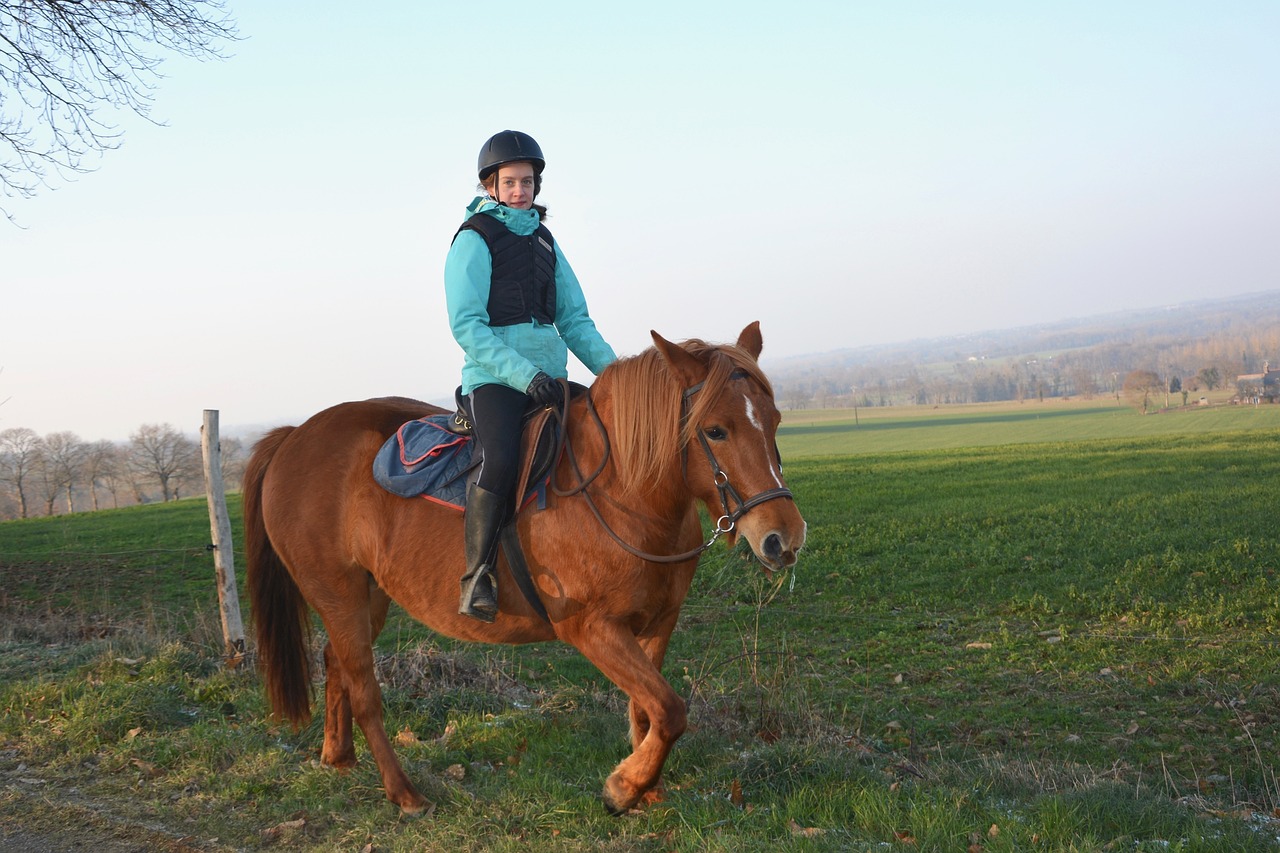 horse-g9000cb943_1280