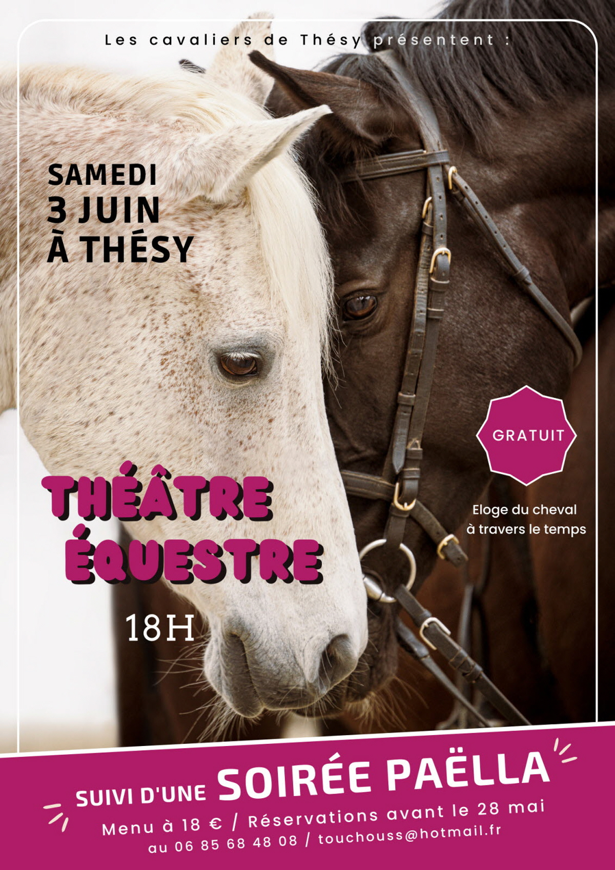 illustration-theatre-equestre_1-1683185343