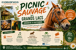 Picnic Sauvage des Grands Lacs