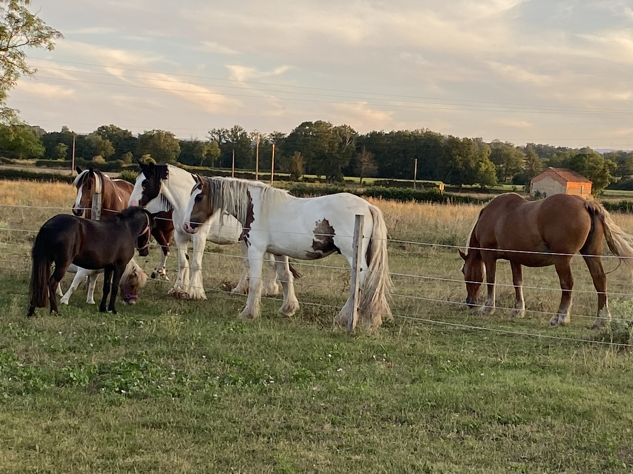 La Chevauchée des Petits Sabots — Proveedores de actividades à Saône-et-Loire