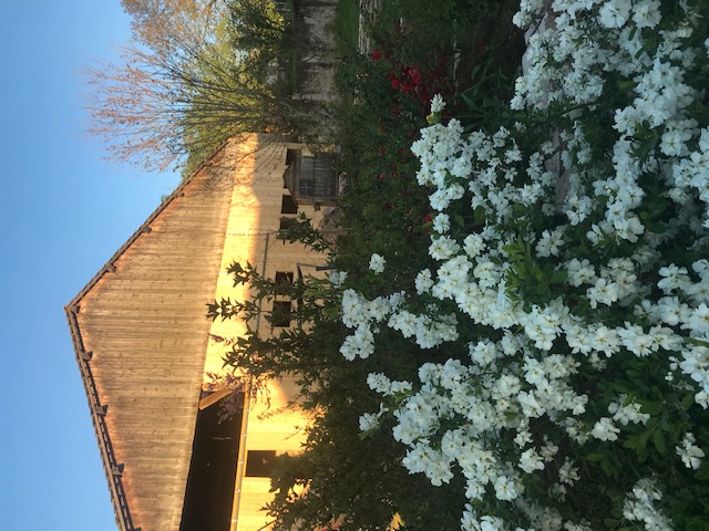 Chèvrerie de la Marsotte