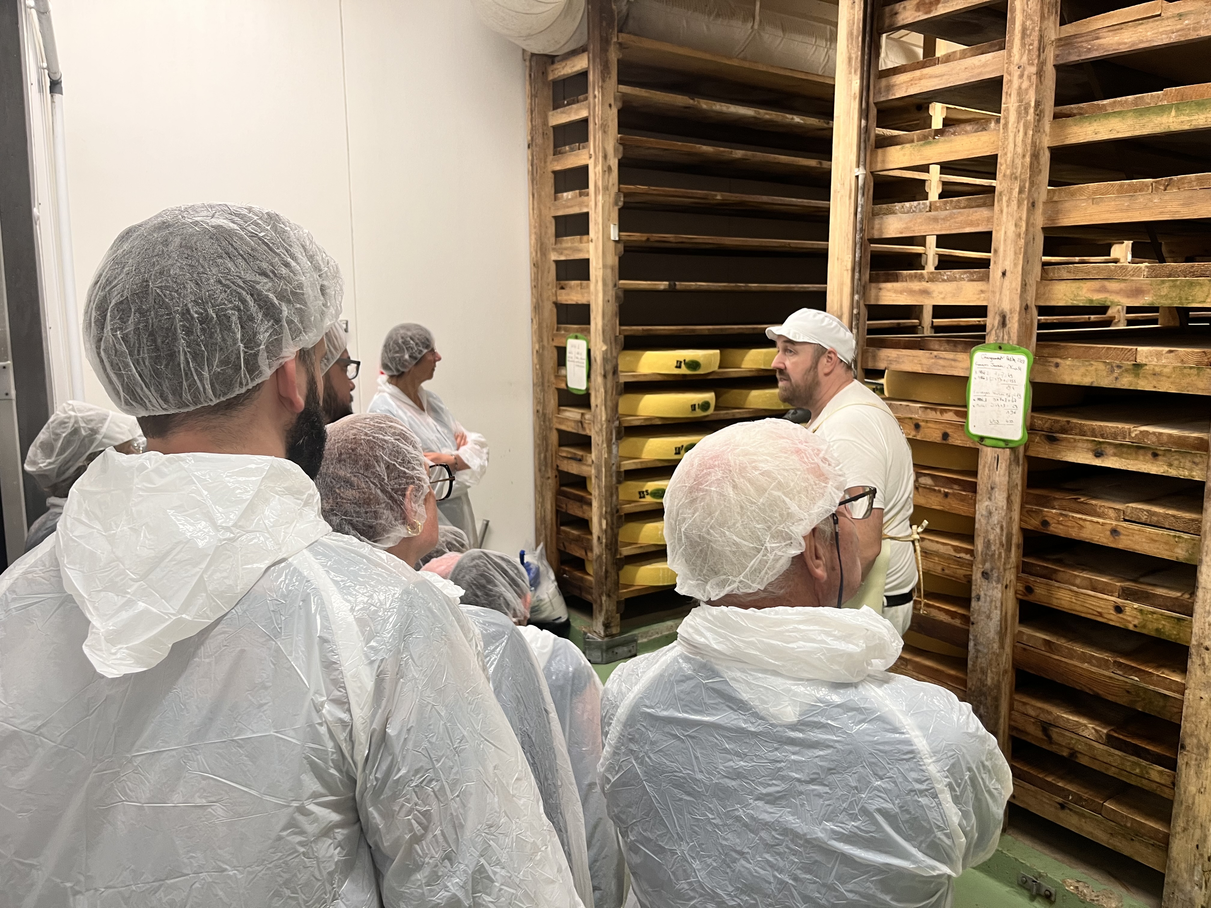 Visite d'une fruitière à comté et dégustation