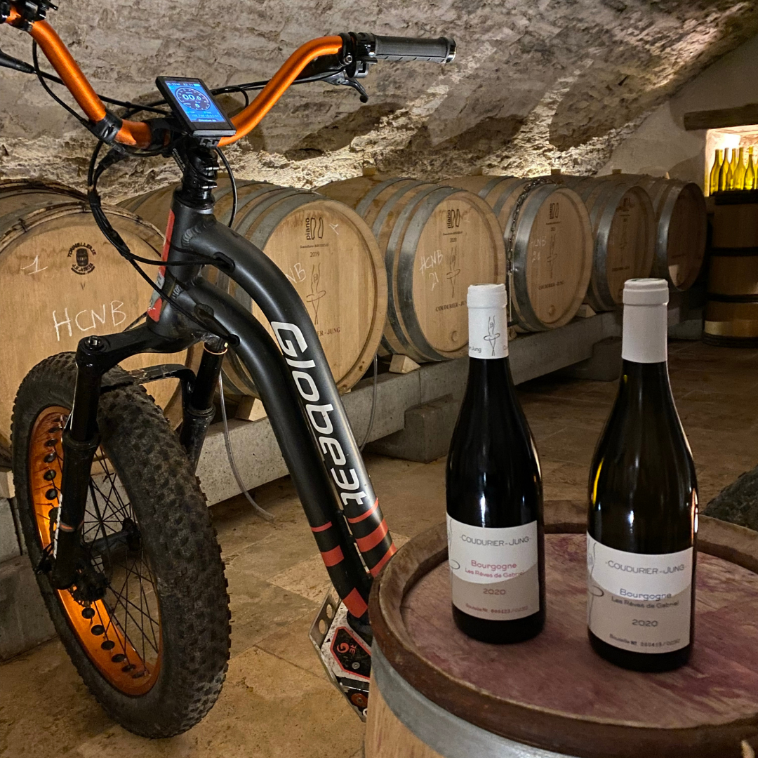 Dégustation de vin