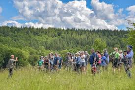 Agir pour la nature au Vallon de Fontenelay