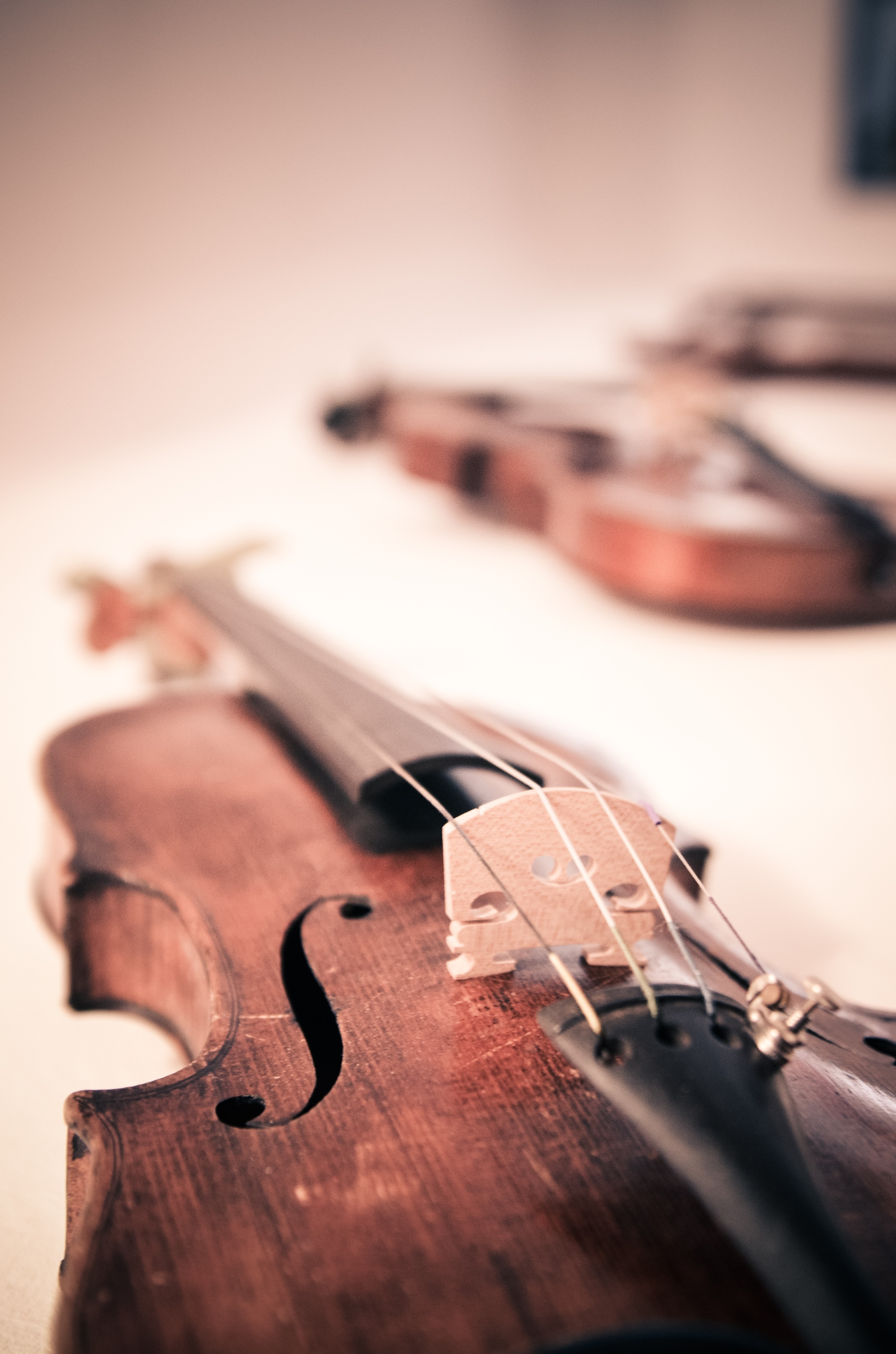 violon