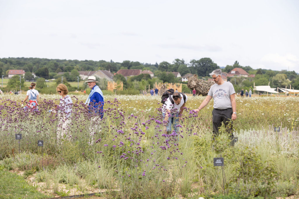 Atelier: La biodiversité près de chez vous - Saline royale