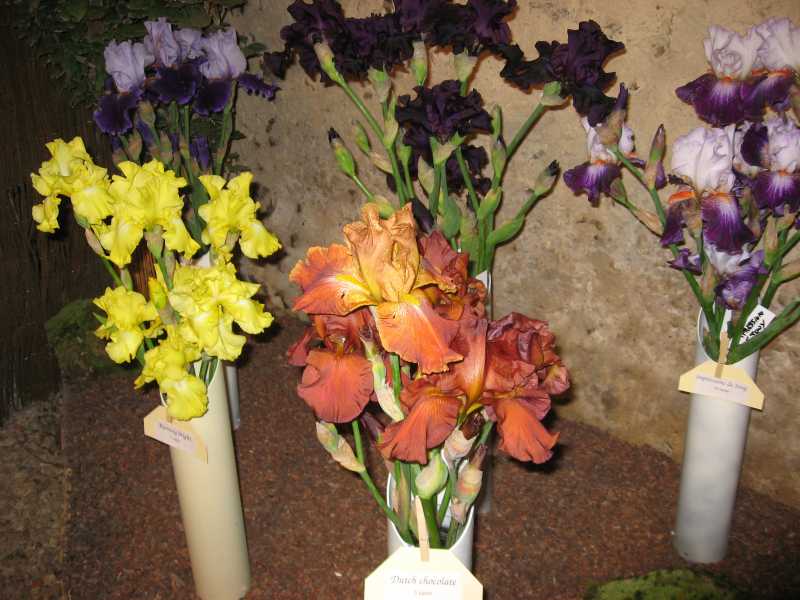 Salon des Iris