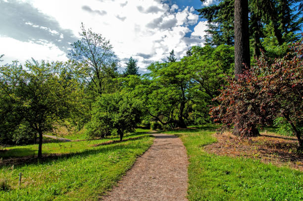 istockphoto-1370807523-612x612