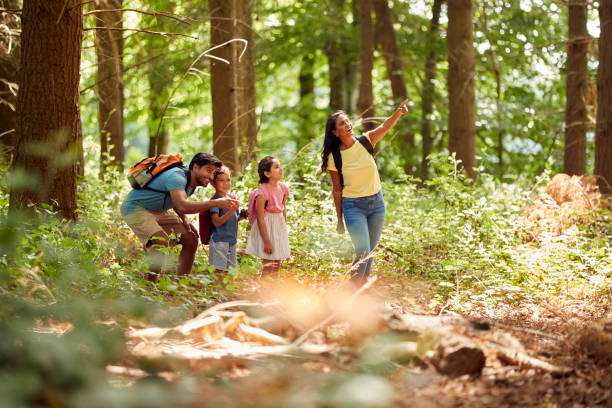 istockphoto-1439943931-612x612