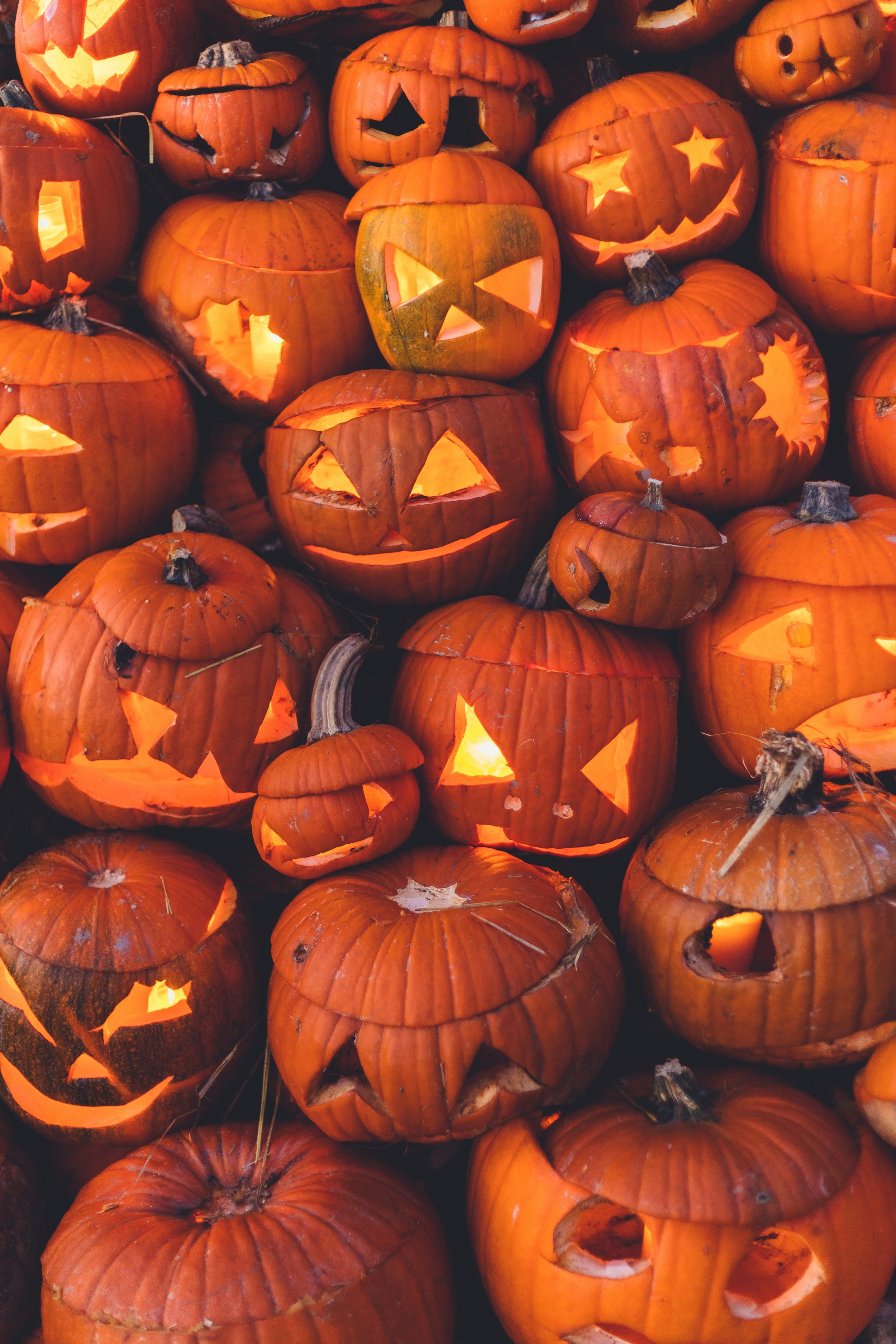 Halloween à Picarreau
