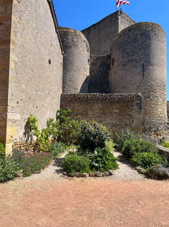 Atelier découverte Mon herbier