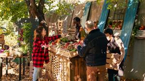 Marché artisanal à Saint-Gand