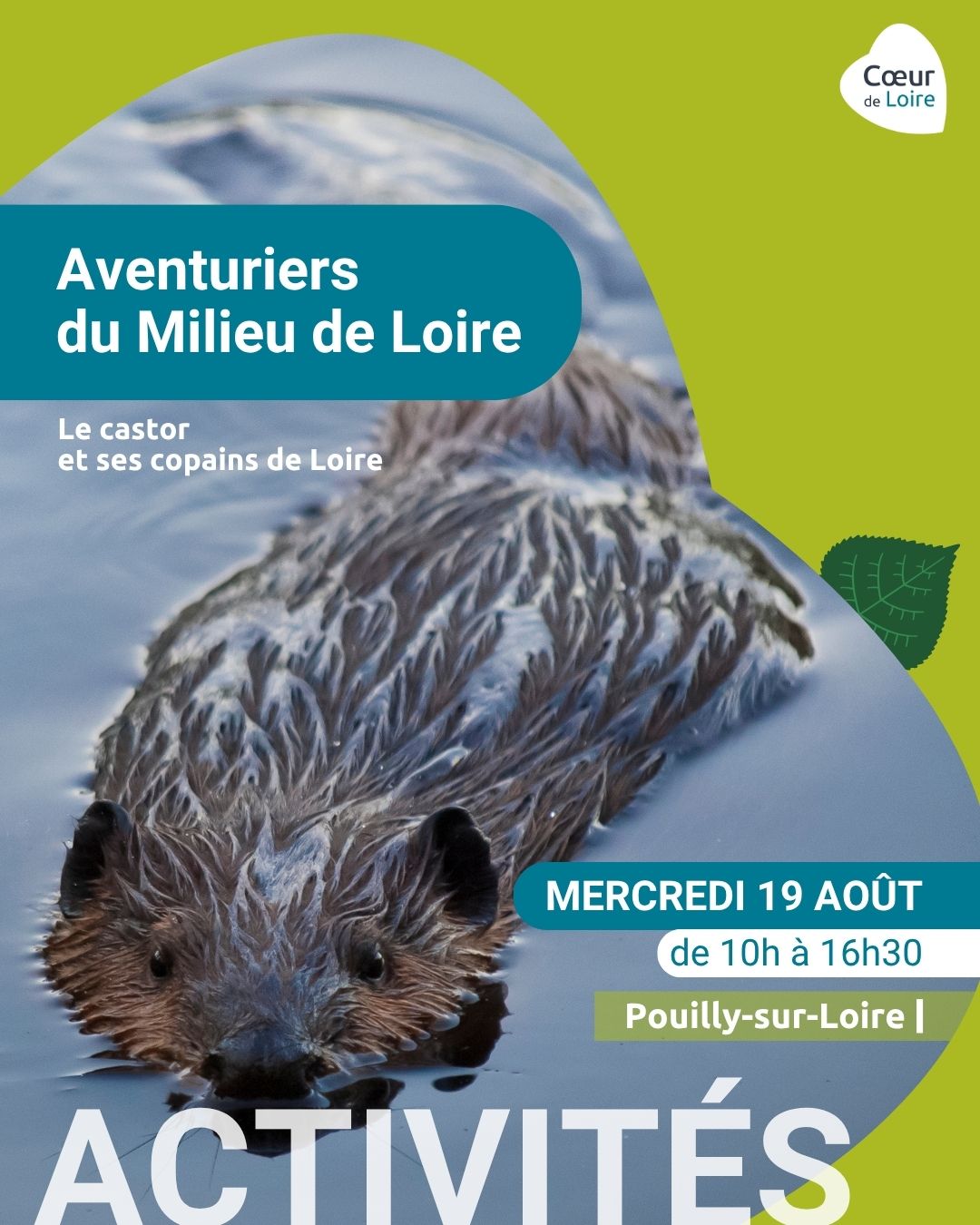 Les Aventuriers du milieu de Loire, journée nature pour les 6-12 ans spéciale "Le castor et ses copains de Loire"