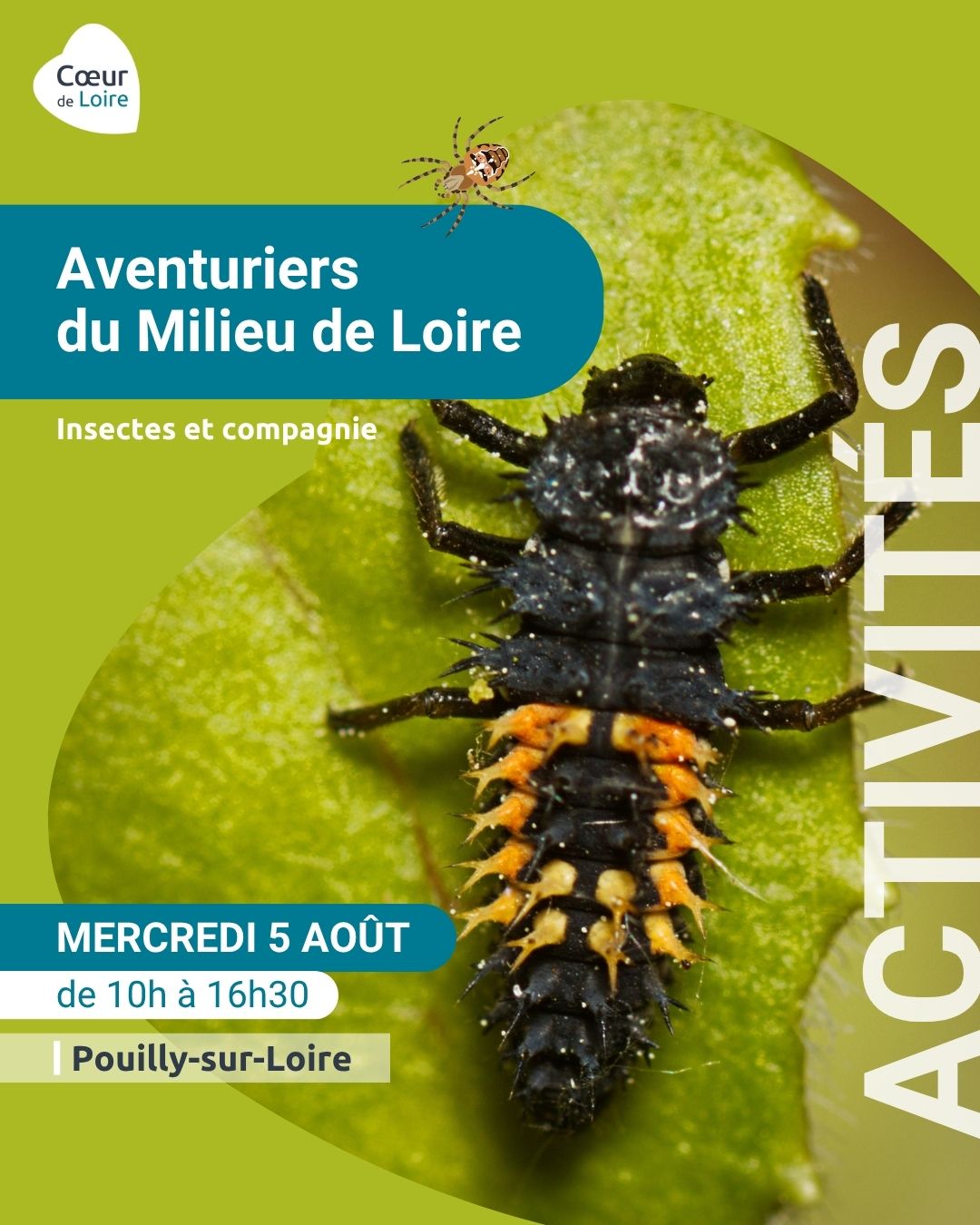 Les Aventuriers du Milieu de Loire - Journée nature pour les 6-12 ans spéciale "Insectes et compagnie"