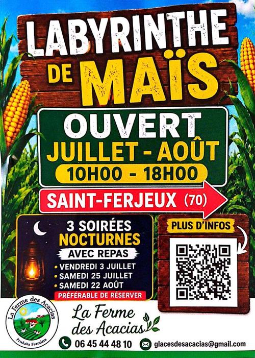 Labyrinthe de ma&iuml;s pour petits et grands