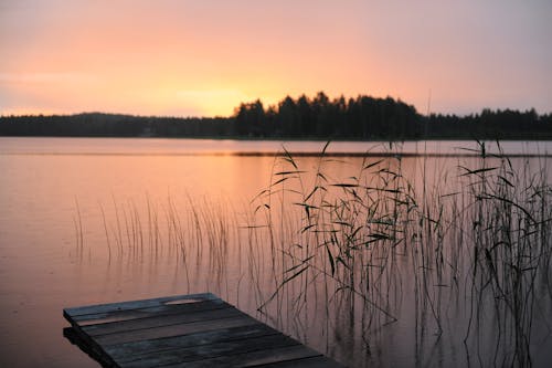 lac